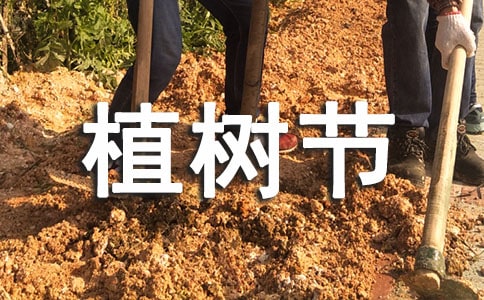 ֲ�����ĵ����