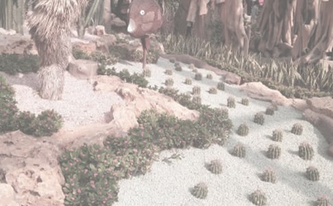 �ι�ֲ��԰���ĵ����