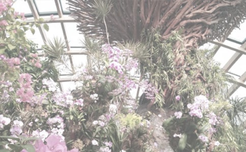 ֲ��԰ʵϰ���ĵ����