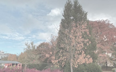 ����ֲ��԰���β߻���