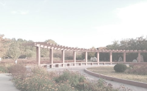 ֲ��԰�����ĵ�