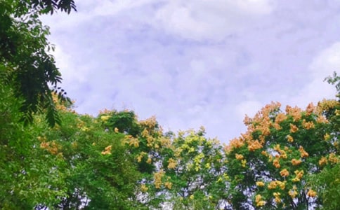 ����õ���ܰ�ʺ���