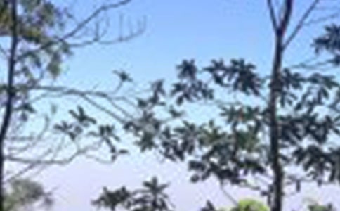 ����ů���ʺ���