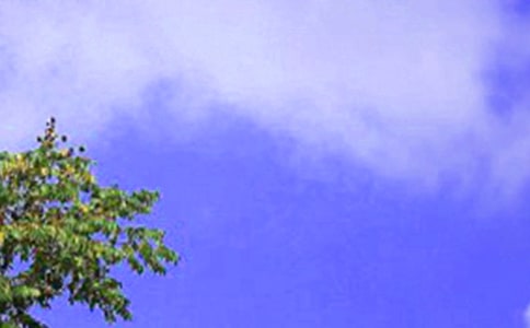 ������ʺ���