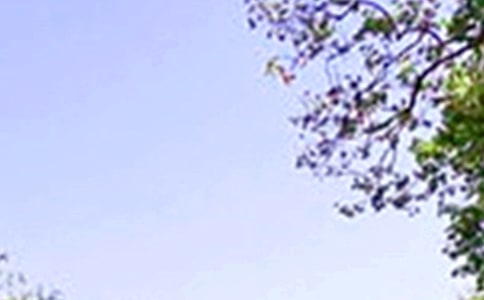 ���������������ʺ���