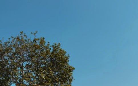 �����°��ף����