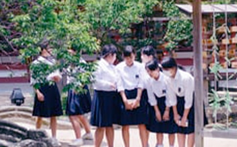 ����ѧ����������14ƪ