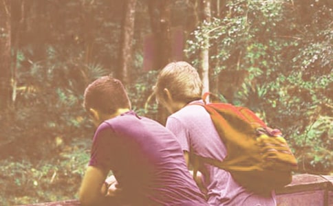 ����ѧ����������