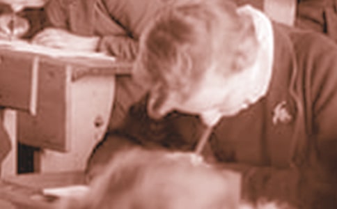 ��ѧ��ƶ��������