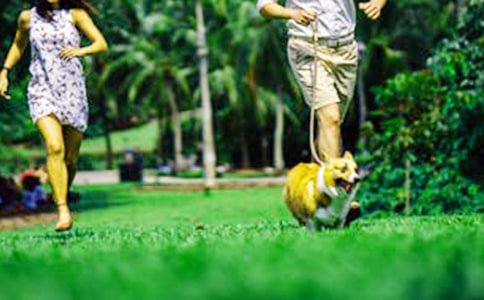 ������ĩ����ʺ���50�侫ѡ