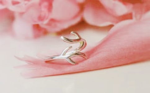 �鱦�����