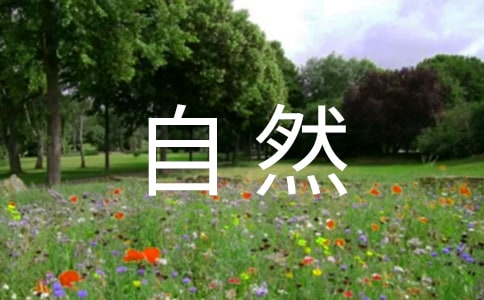 ����������Ȼ������ͬ���ĵ���᷶��