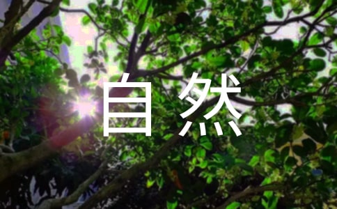 ������Ȼ�����Լ���