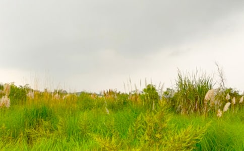 �߽���г�Ĵ�������