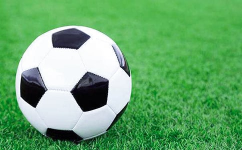 ����������ĵ���ᣨͨ��20ƪ��