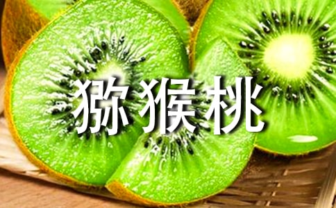 ����⨺��ҹ���������