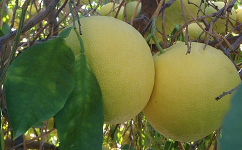 �����Ӽ򵥹����