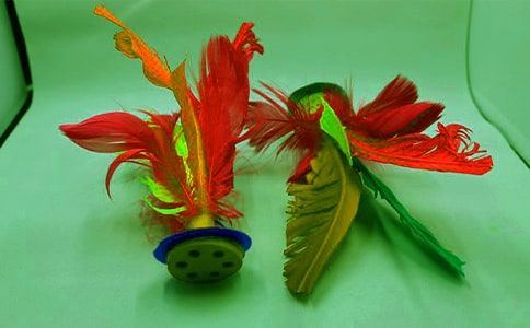 �����ȤС���ܽ�