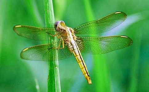 �����������ĵ����