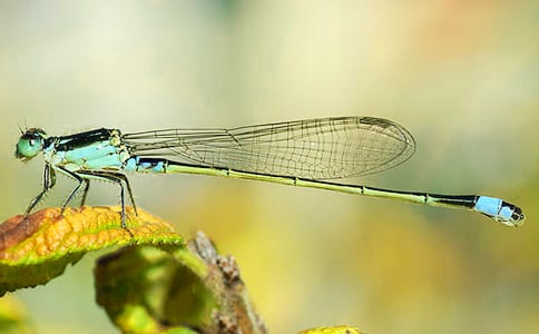 ����Ҳ�ܷ�Խ�󺣵�������־����