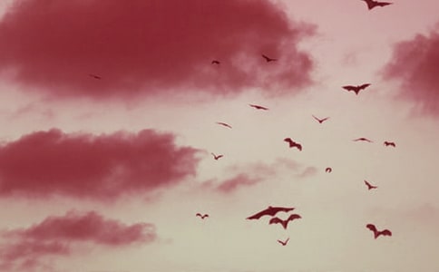 �������𡷶����