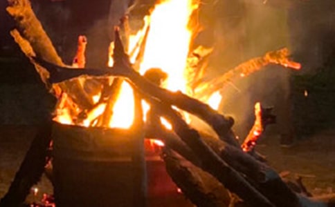 ���������߻�����(����15ƪ)