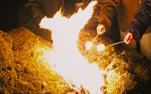 ��������У԰��������߻���