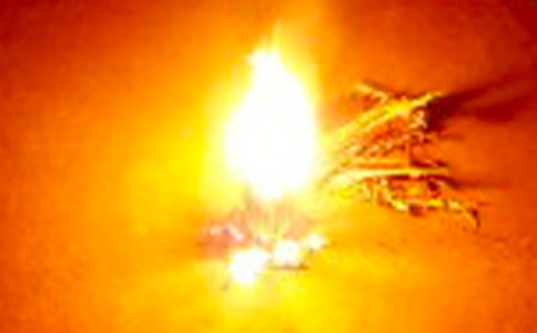 ���������߻�����(��ѡ15ƪ)