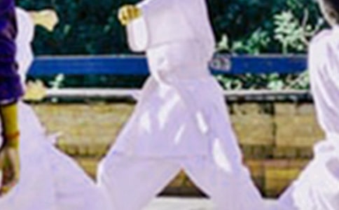 ѧϰ��ȭ���ĵ����