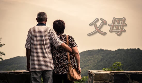 �︸ĸ��������ĵ����