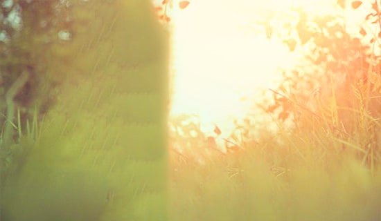 Ψ��ף����