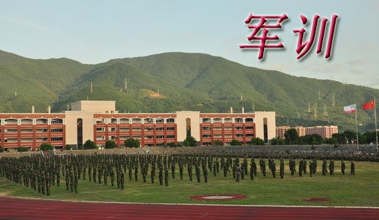 ��ѧ����ѵ�ĵ����[����]