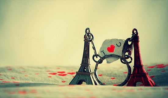 ��̵����簮����¼