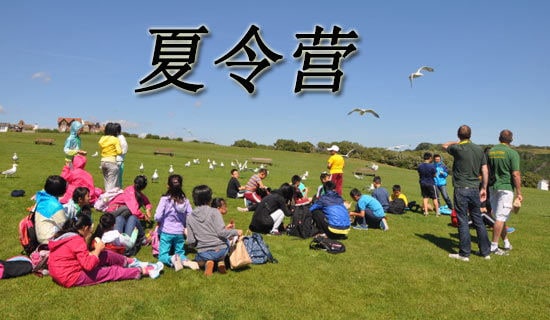 ��ѵ����Ӫ�ĵ����