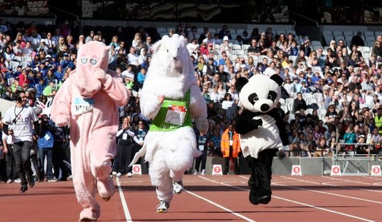 �����˶����ĵ�