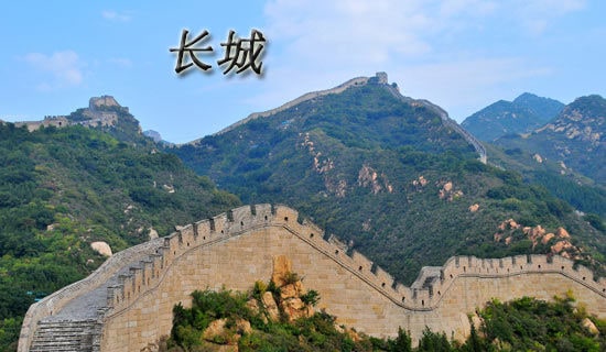 �����ǡ��ۺ��