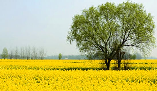 �����ĵ���᷶����15ƪ��