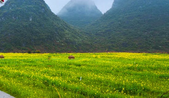 ��ѧ�����λ�߻�����